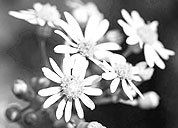 平台在线ddos压力测试